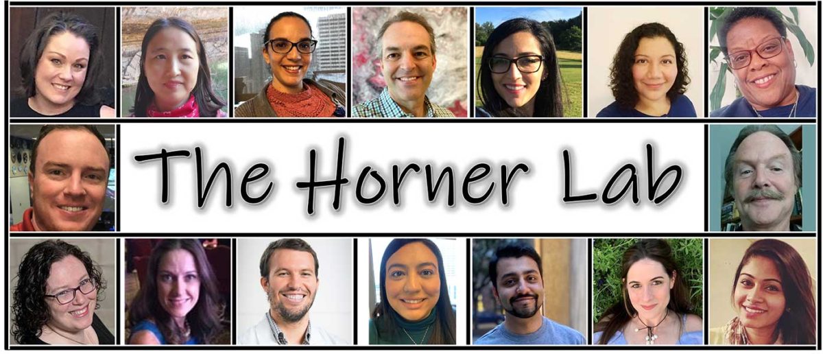 Horner-team-banner Our Team